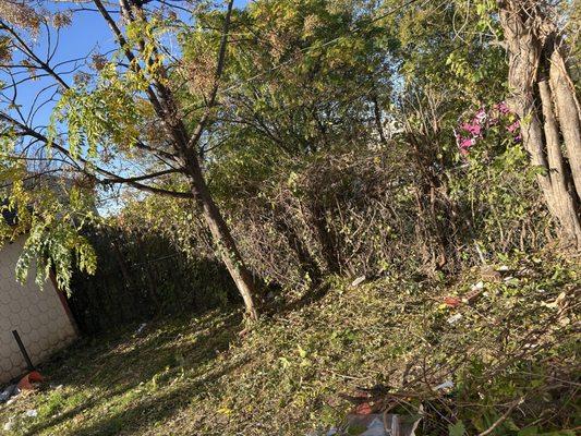 Heribertoz Lawn and Trimming