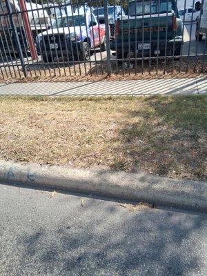 Dad and Son Cleaning Services