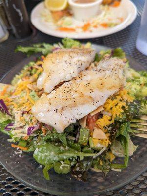 Freshies Restaurant & Bar