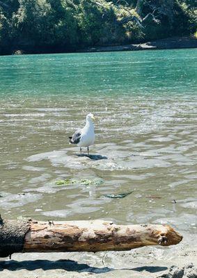 Big River State Park