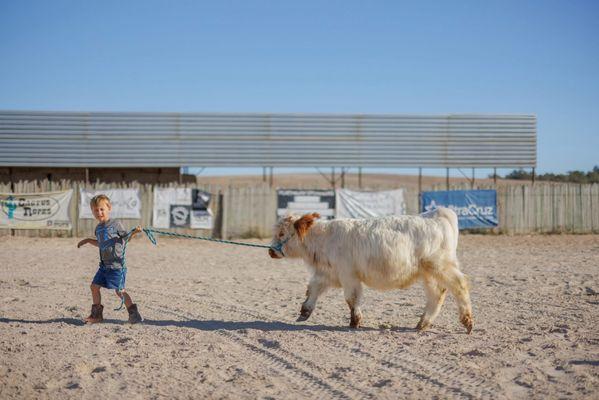 Paso Robles Pastures