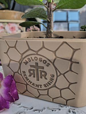 Ministerio Bautista Logos