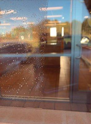 The Golden Crew Cleaning