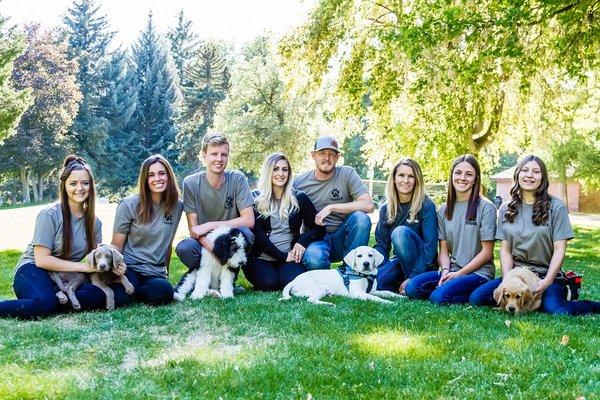 Puppy Steps Training