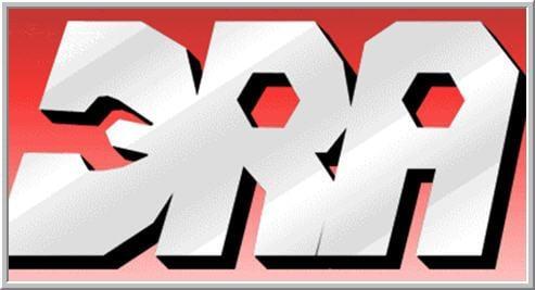 DAN ROYSTER AUTO LLC