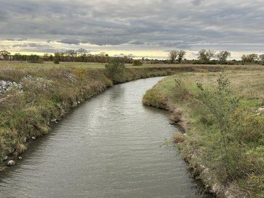 Frank Shoemaker Marsh