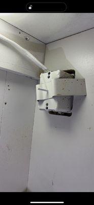 Cockroach feces that came through the electrical outlets from the next department