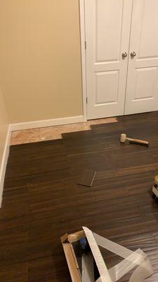 Avila Landscaping and Handyman Services