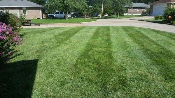 Signature Lawn Services