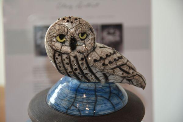 Barred Owl Raku Jar by Robin Rodgers