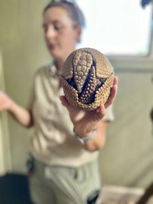 Armadillo