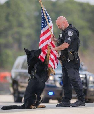 Dog Training Anytime