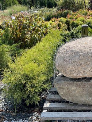 Greenwood Creek Nursery