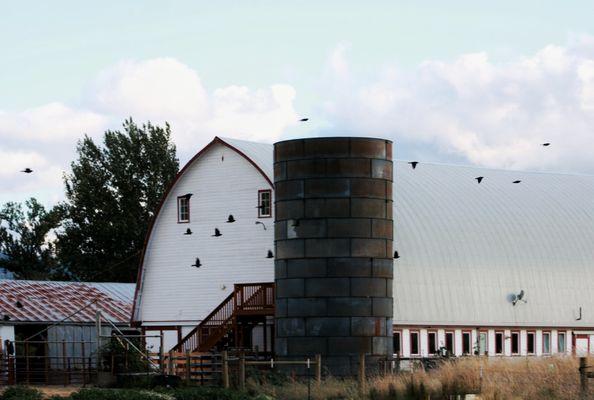 Little Island Creamery