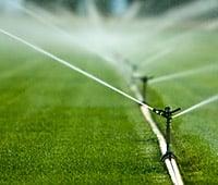 De La Vega Tree Service