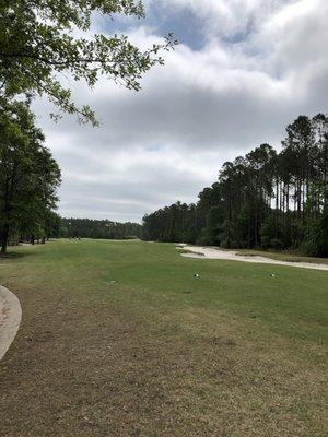 Amelia National Golf