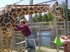 Dr Carpenter working on a client