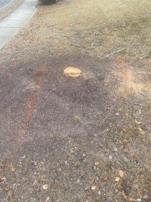 Sesmas Tree Service LLC