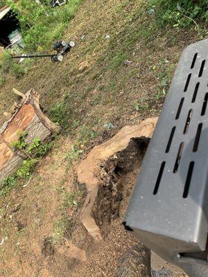 A&A Stump Grinding and Tree Services