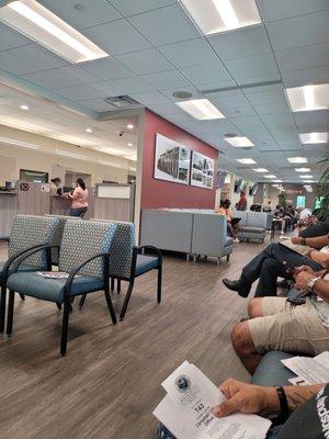 Osceola County Tax Collector