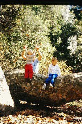 Mountain Air Heating and Cooling