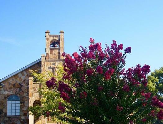 Locust Grove Baptist Church
