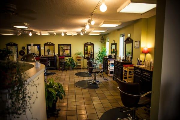 Filled with live plants, smiling faces and good vibes. No toxic smells!!