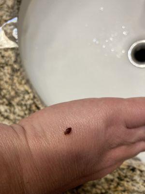 Folk Inn Ontario Airport