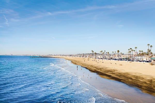 Dominic Tucci - Team Tucci Real Estate