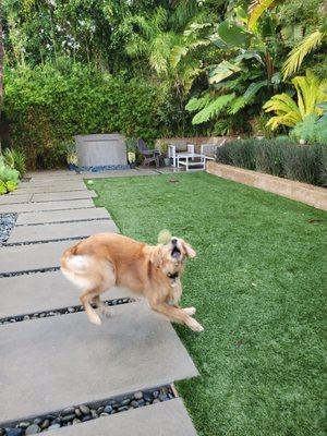 Marcia de Animal lover