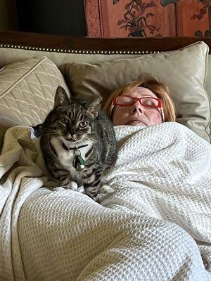 Shawsville Veterinary Hospital & Pet Care Center