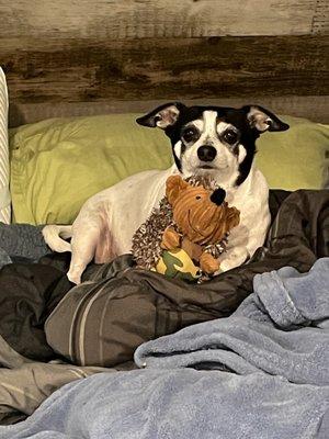 Luis A Aguilar Public Notary