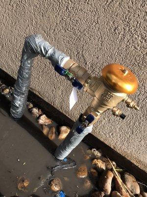 Dilmer Quintanilla Landscaping Services