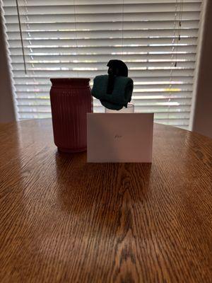 LadyLux Cleaning Company