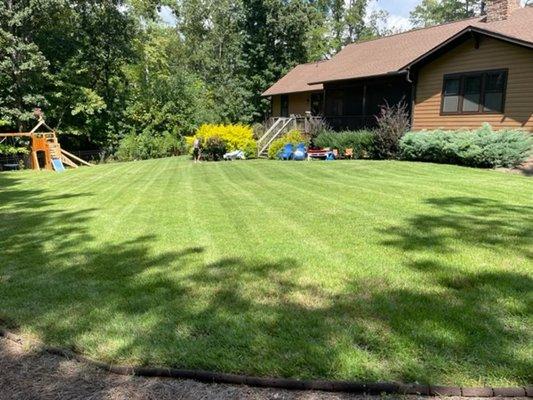 Carolina Lawn Cutters