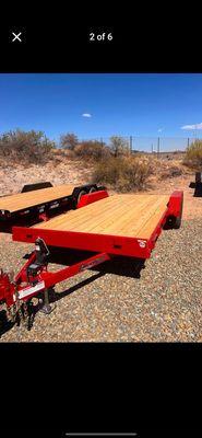 Lizard Trailer Rentals & Junk Removal