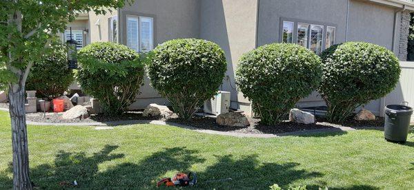 Odd Jobs and Junk Removal Handyman Service