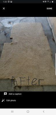 Brady's Carpet