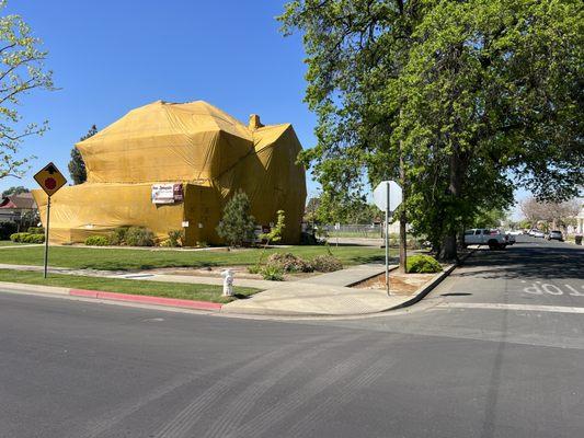 San Joaquin Pest Control - Visalia