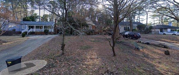 Trusty Paws Dog Sitters