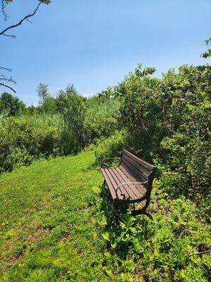 Seabury Wildwood Trails