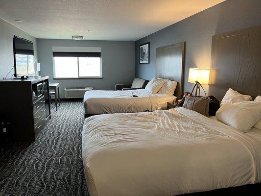 Queen beds, only 1 trash bin in the whole room, uncomfy pillows