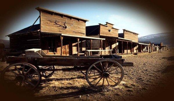 The Blue Buffalo Leather