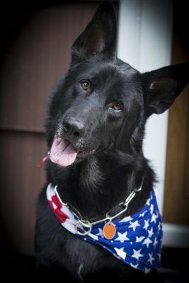 Enuff is Enuff Canine Academy