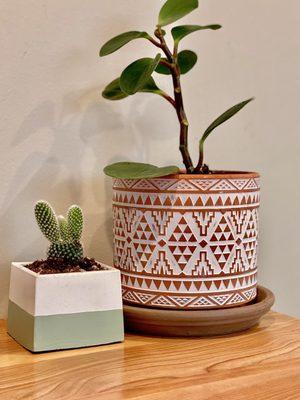 Agrarian Seed and Garden