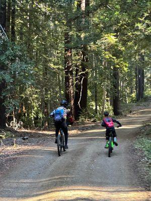 Straight Wheel Cycling