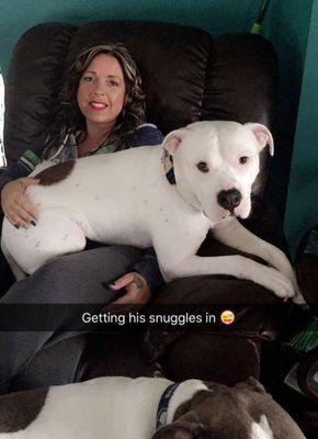 Resting Waters Aquamation