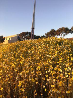 Montgomery-Waller Park