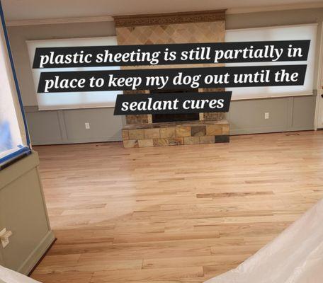 Boyce Rex Floor Service