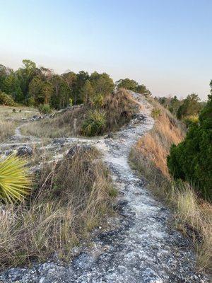 Aripeka Sandhills Preserve